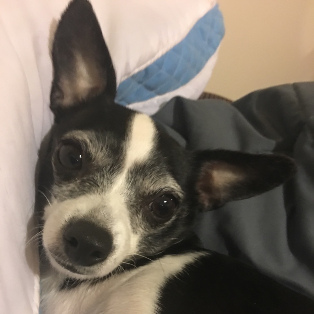 Meet your Posher, Jessica